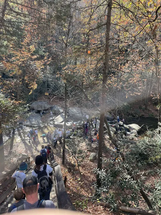 Stone Mountain State Park Group Site 8