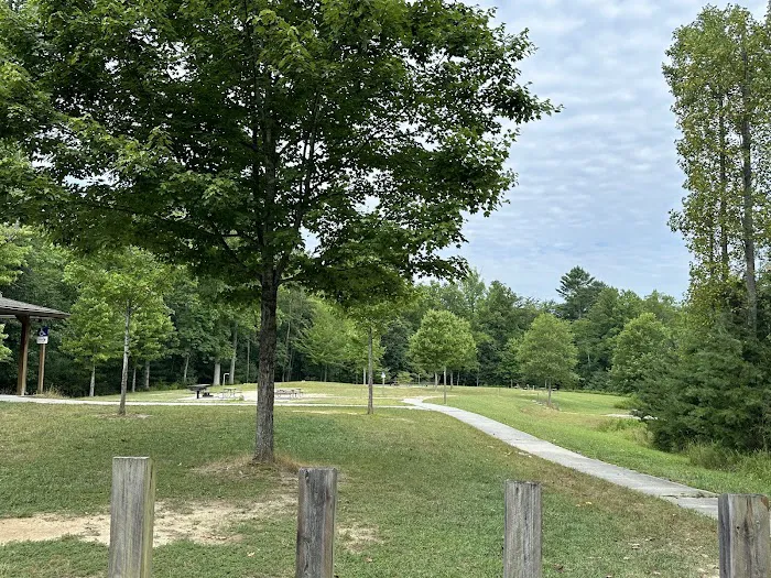 Stone Mountain State Park Group Site 5