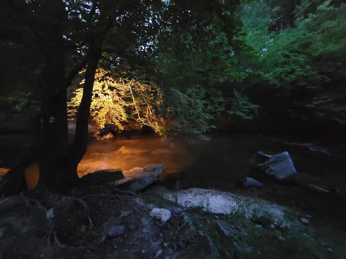 Cedar Rock Campground 8