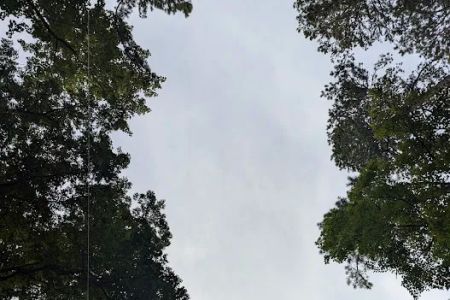 Apache