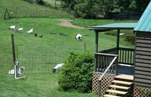 Boone KOA Holiday 7