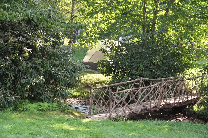 Honey Bear Campground 6