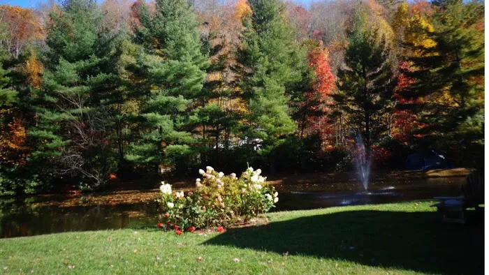 Honey Bear Campground 5