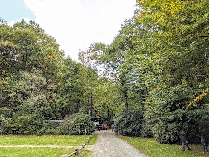 Honey Bear Campground 9