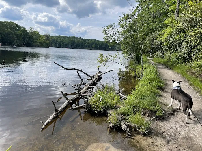 Julian Price Campground 1