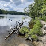 Julian Price Campground