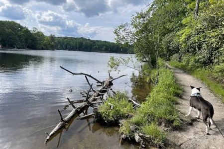Julian Price Campground