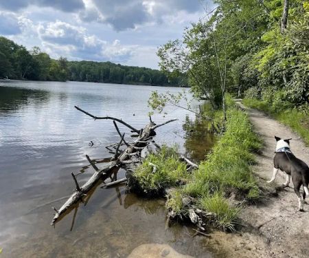 Julian Price Campground