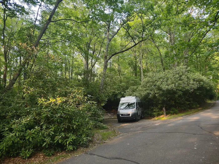 Julian Price Campground 5