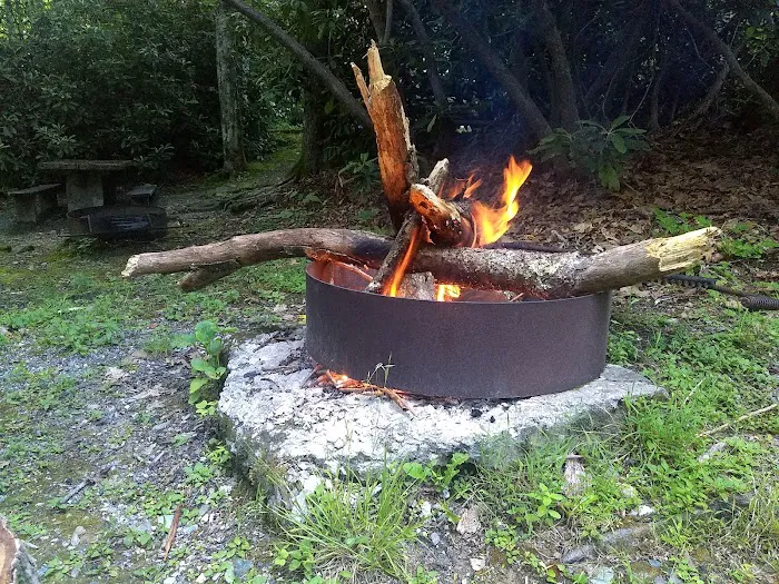 Julian Price Campground 6