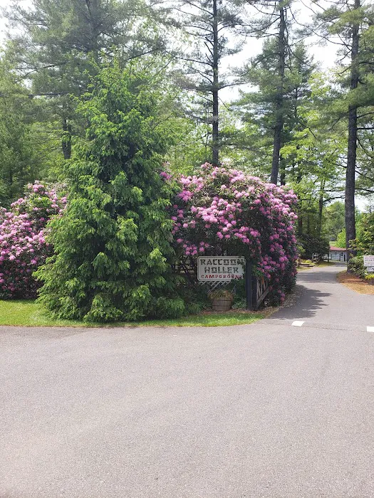Raccoon Holler Campground 6