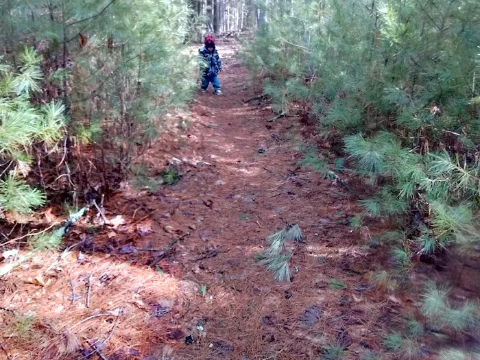 Raccoon Holler Campground 9
