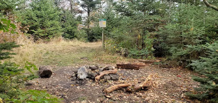 Briar Patch Campsite 2