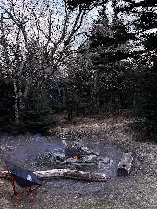 Briar Patch Campsite 1