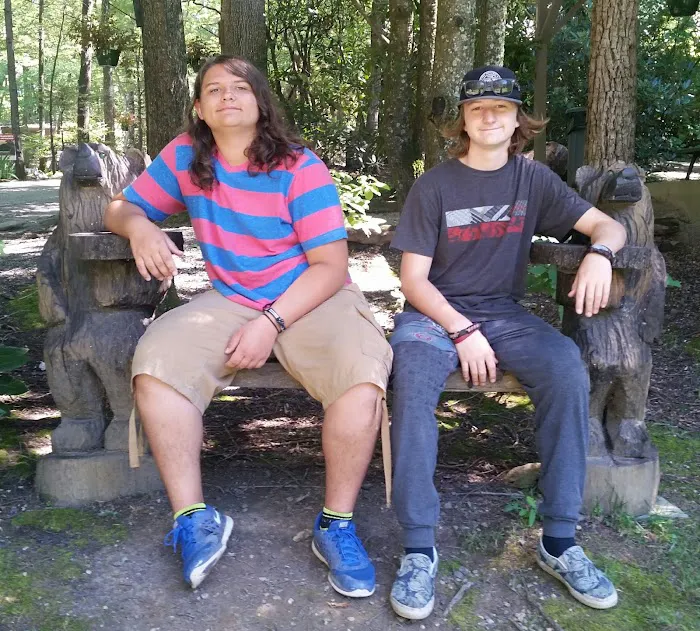 Linville Falls Campground 6