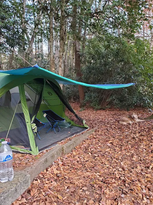 Linville Falls Campground 4