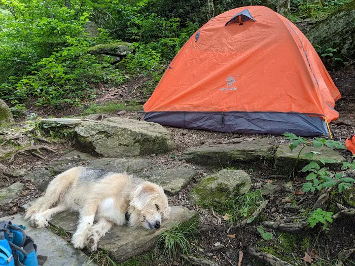 Profile Campsite 1