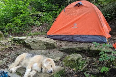 Profile Campsite