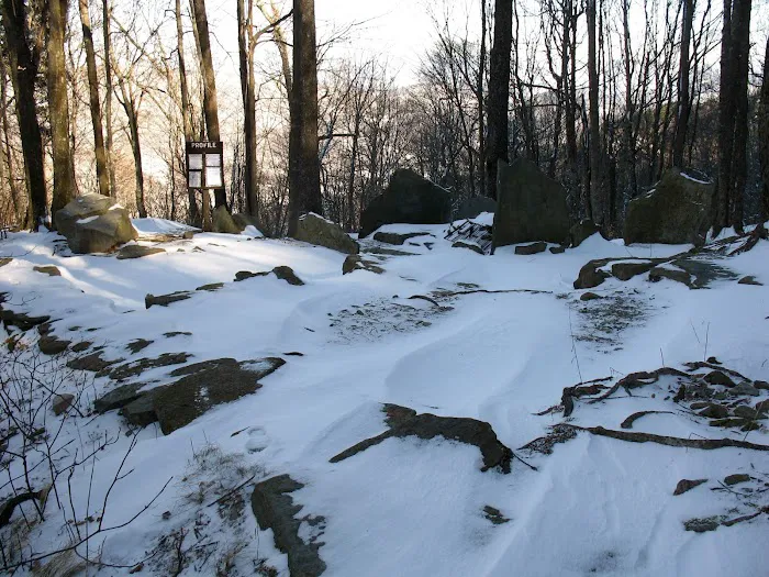 Profile Campsite 2