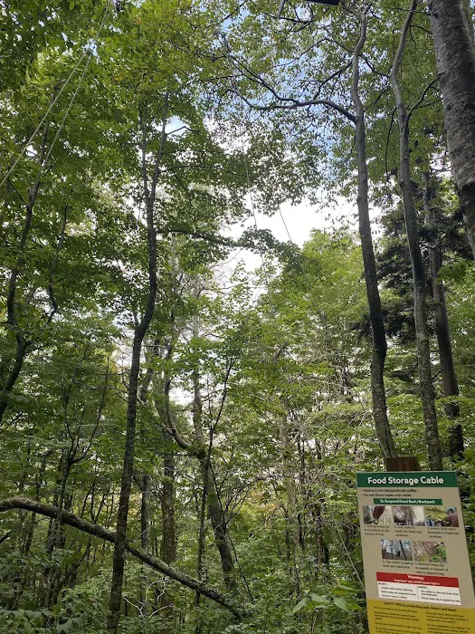 Profile Campsite 6