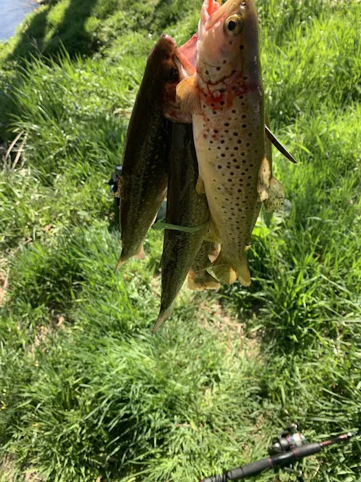 Linville River Campground 5