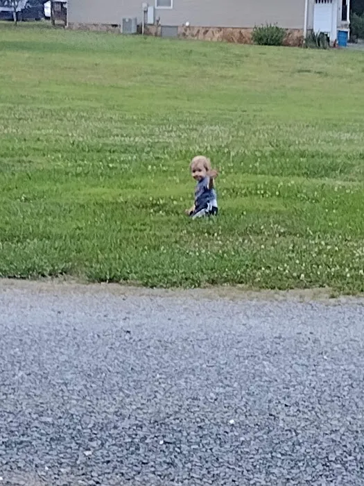 Holly Bluff Family Campground 6