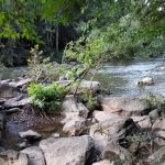 Deep River Haven LLC