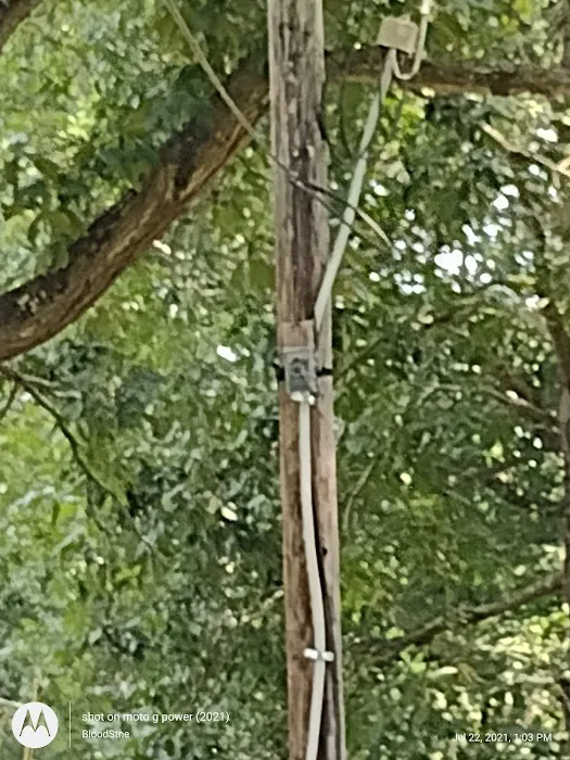 Woods Mobile Home Park 2