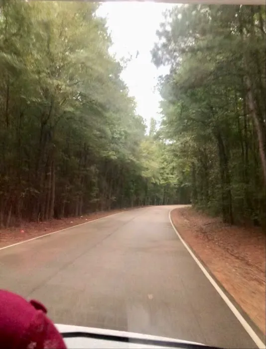 Tombigbee River RV Park 10
