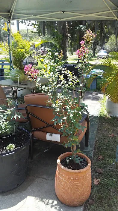 Galaxy Mobile Home Park 9