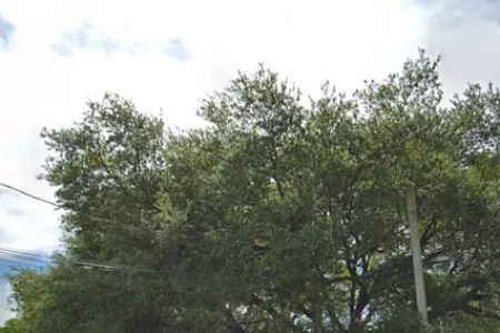 Palomar Mobile Home Park