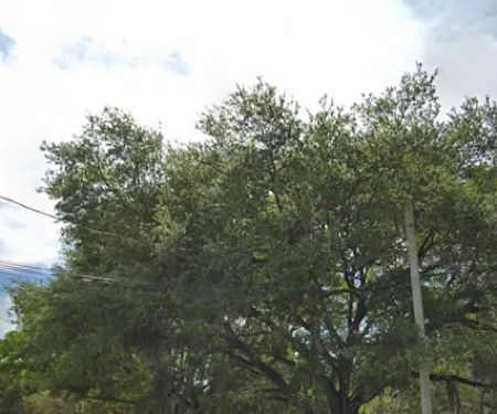 Palomar Mobile Home Park