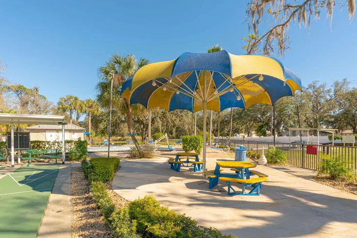 Tampa East 8