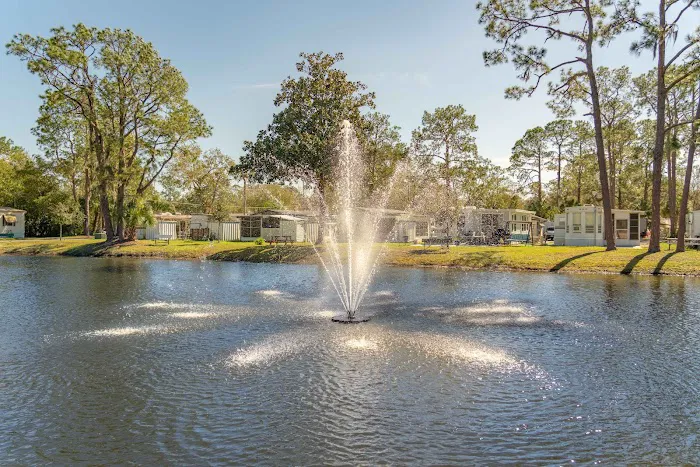 Tampa East 9