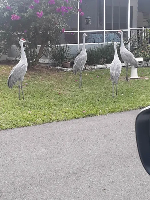 Featherock 6