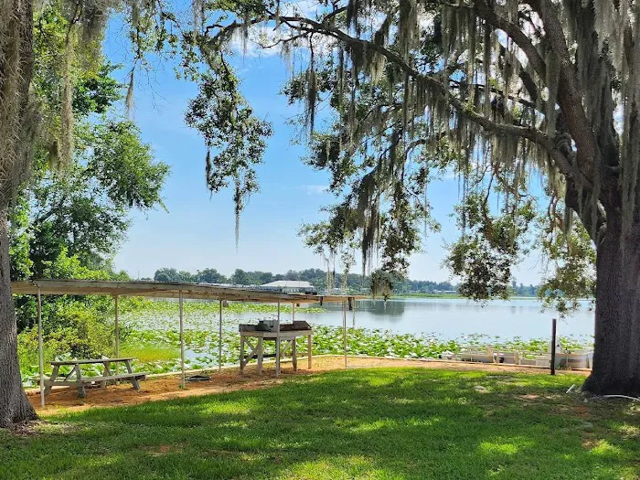 Avon Park Village 3
