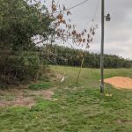 Orange Blossom Fellowship