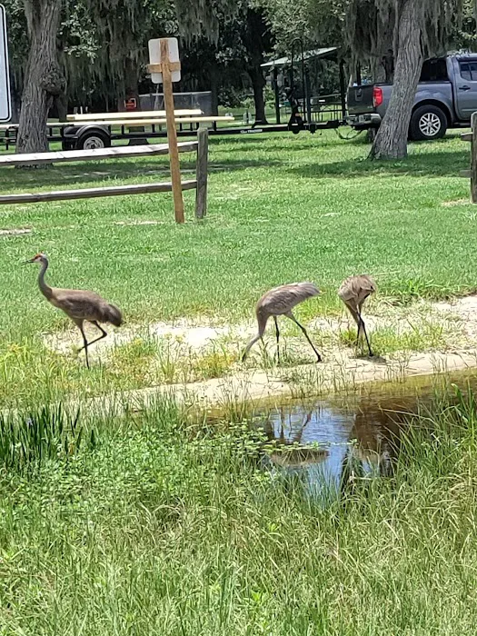 Lake Rosalie Park and Campground 6