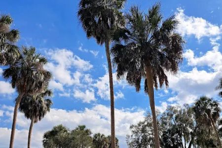Butch's Hideaway RV Park