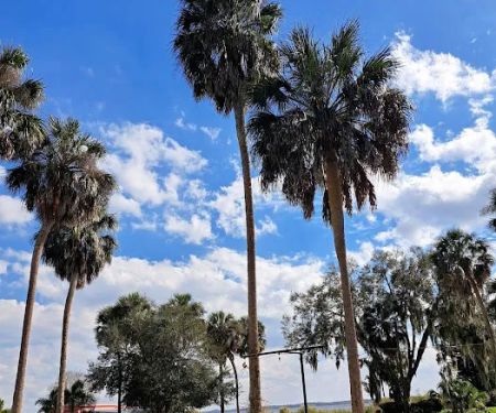 Butch's Hideaway RV Park