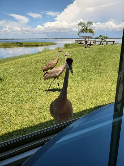 Butch's Hideaway RV Park 7