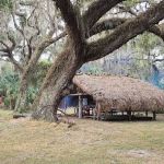 Cow Camp at Lake Kissimmee State Park