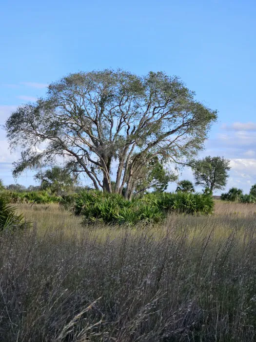 Cow Camp at Lake Kissimmee State Park 4