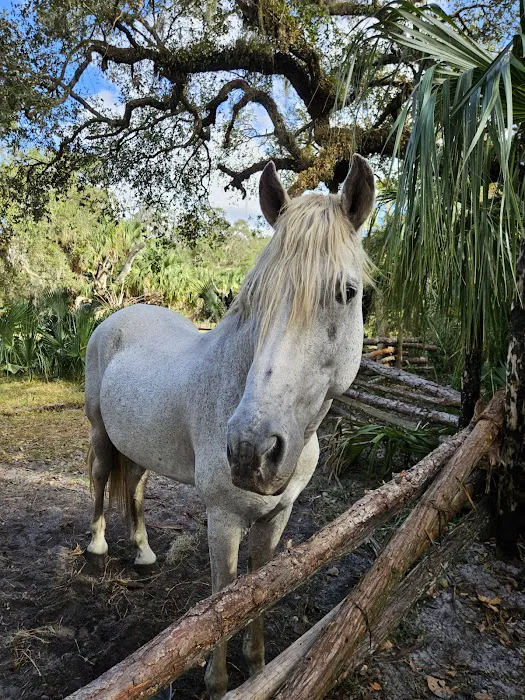 Cow Camp at Lake Kissimmee State Park 10