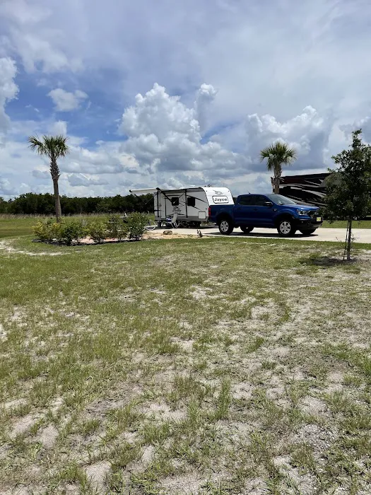 Canopy Oaks 6