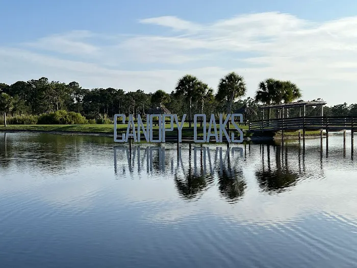 Canopy Oaks 4