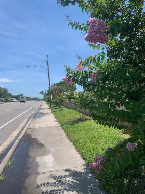 Pinellas Cascades Mobile Home Community 6