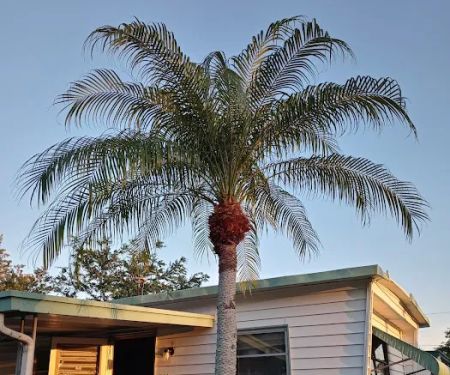 FairHaven Mobile Home Park