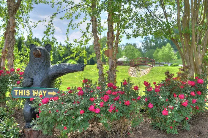 The Dell Motorcoach Resort 3