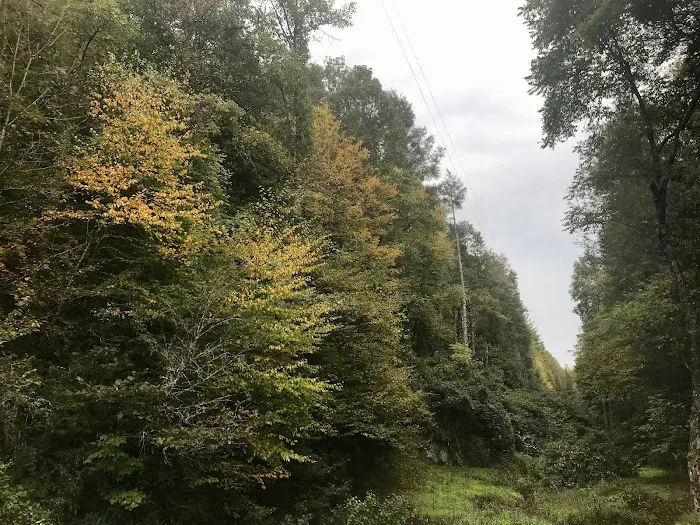3feather Sanctuary 7